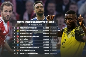 德国俱乐部注册会员数量榜：拜仁41万居首，多特、沙尔克二三位