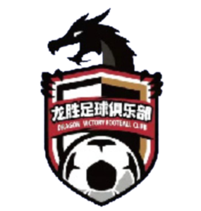 南京龙胜