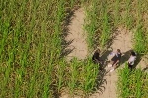 排面啊🔥独行侠状元弗拉格走进有着自己巨幅剪影的玉米地~~