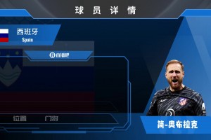 奥布拉克集锦：门线杀手！斯洛文尼亚一级门神！