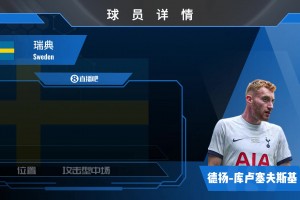 球员集锦：瑞典边路突击手 可胜任边锋/前腰的金左脚库卢